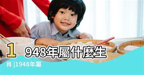 民國95年屬什麼|民國